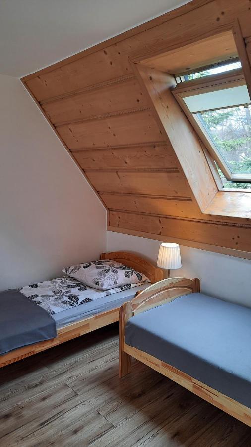 Apartamenty U Samkow ザコパネ エクステリア 写真