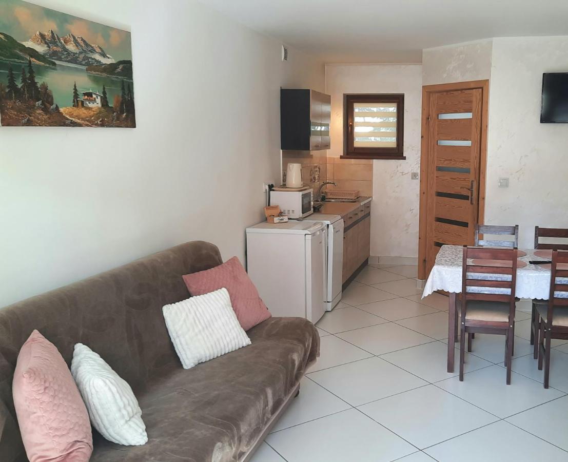 Apartamenty U Samkow ザコパネ エクステリア 写真