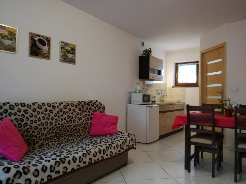 Apartamenty U Samkow ザコパネ エクステリア 写真