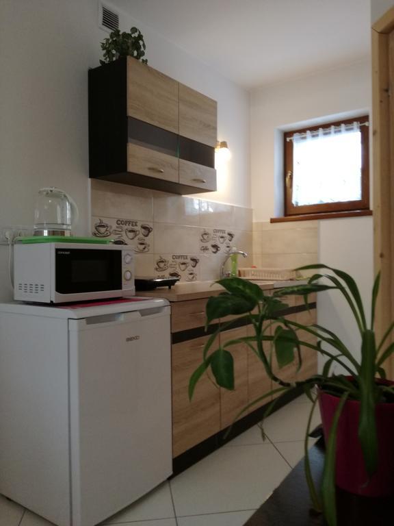 Apartamenty U Samkow ザコパネ エクステリア 写真
